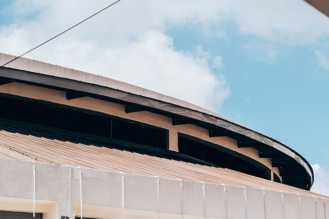 <em>Photo by Rebecca Toh</em>